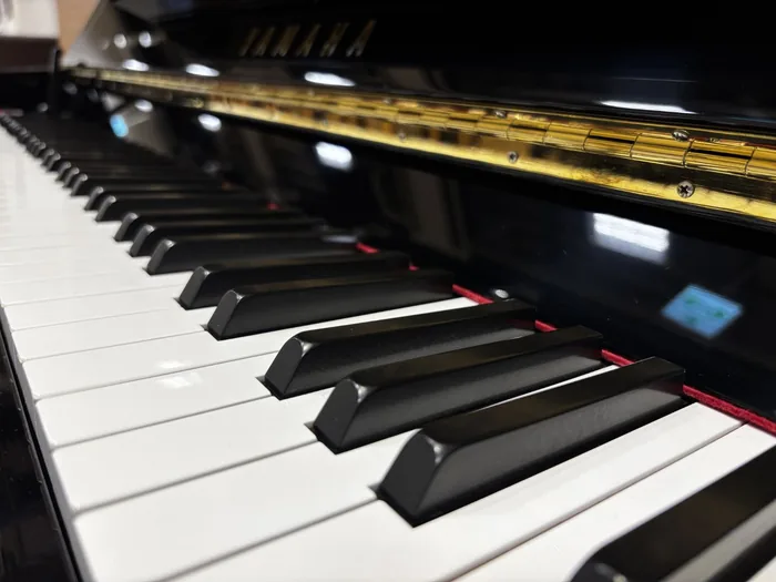 Close-up of piano keys on a polished ebony upright